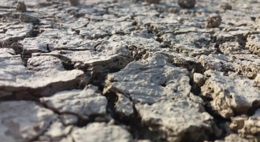 Terreno arido e crepato, un esempio di suolo che necessita di interventi per come abbassare la salinità del terreno e renderlo fertile.