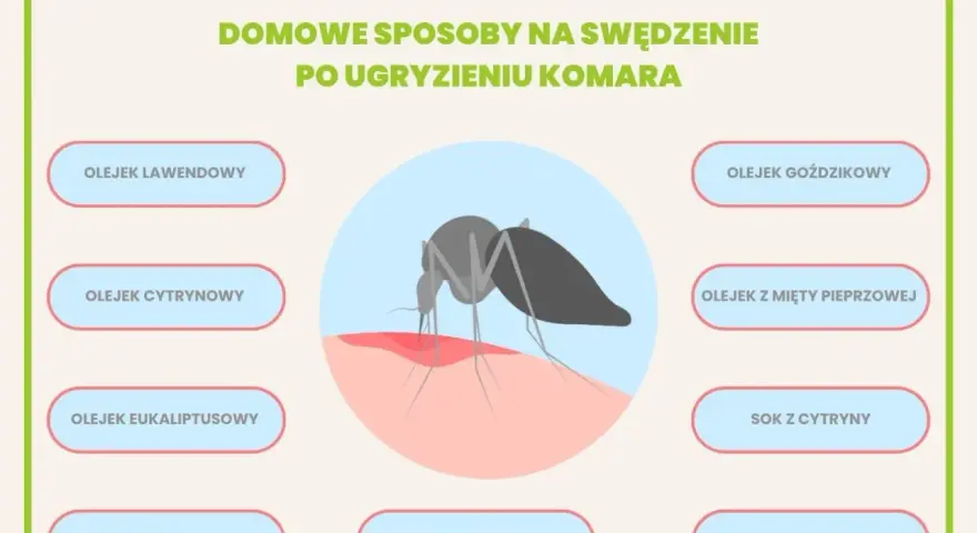 Domowe sposoby na ukąszenia komarów: olejki lawendowy, cytrynowy, goździkowy, z mięty pieprzowej, eukaliptusowy, herbaciany, sok z cytryny, zimne okłady i plastry z aloesu.