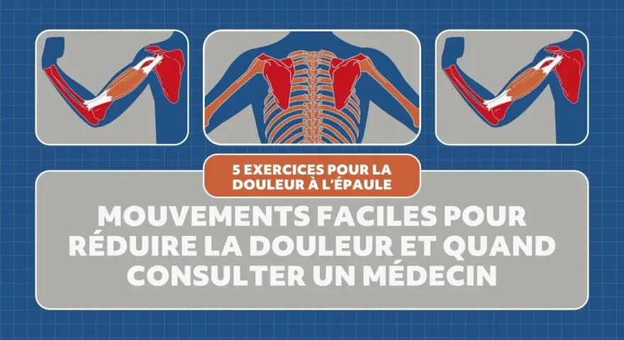 Illustrations anatomiques montrant les muscles de l'épaule et du bras, avec le texte "5 exercices pour la douleur à l'épaule". Idéal pour les tendinite épaule exercices.