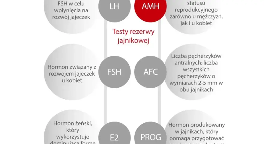 AMH badanie: hormon kluczowy dla oceny rezerwy jajnikowej, marker płodności u obu płci.