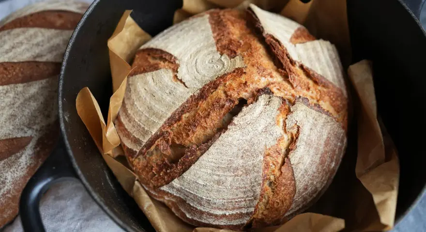 Ein frisch gebackenes Sauerteigbrot mit knuspriger Kruste liegt in einem Gusseisentopf. Perfekt für jedes Sauerteigbrot Rezept.