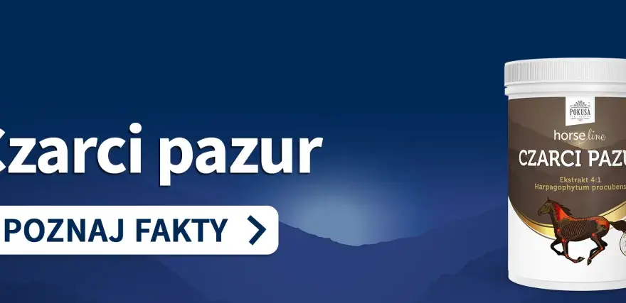Czarci pazur - suplement dla koni z ekstraktem z **czarciego pazura** (Harpagophytum procubens). Poznaj fakty.