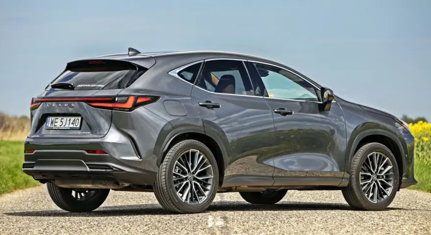 Szary Lexus NX 450h+ na drodze, w tle pole rzepaku. Sprawdź aktualną lexus nx cena.