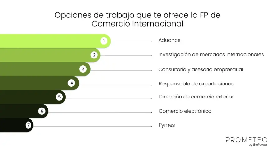 Opciones de trabajo en comercio internacional en España: aduanas, investigación de mercados, consultoría, exportaciones, comercio exterior, e-commerce y pymes.