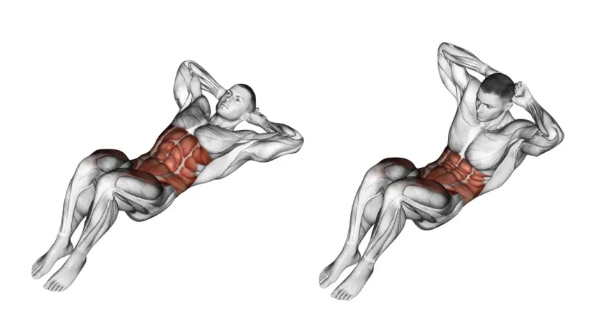 Anatomie d'un homme en mouvement de crunch inversé, montrant les muscles abdominaux saillants.