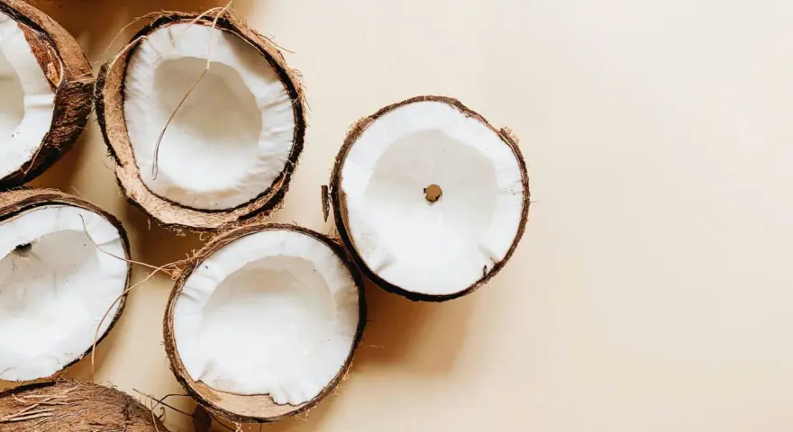Plusieurs moitiés de noix de coco fraîches, révélant leur chair blanche et crémeuse. Un aperçu des bienfaits de l'huile de coco.