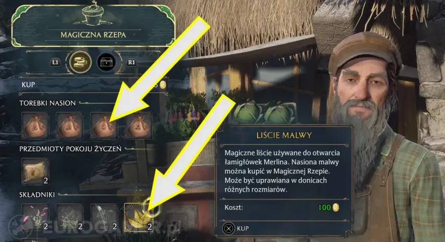 Gracz w grze Hogwarts Legacy kupuje nasiona malwy w Magicznej Rzepie.