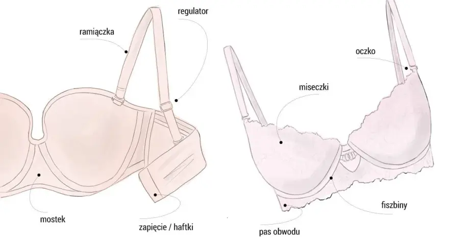 Ilustracja pokazuje budowę stanika, pomagając zrozumieć, jak obliczyć rozmiar stanika. Widoczne są ramiączka, miseczki, fiszbiny, pas obwodu i zapięcie.