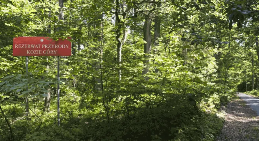 Rezerwat przyrody Kozie Góry: unikalne atrakcje i tajemnice natury