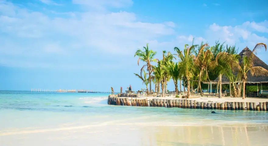 Piękna plaża z palmami i turkusową wodą. Marzysz o podróży? Sprawdź, ile się leci na Zanzibar!