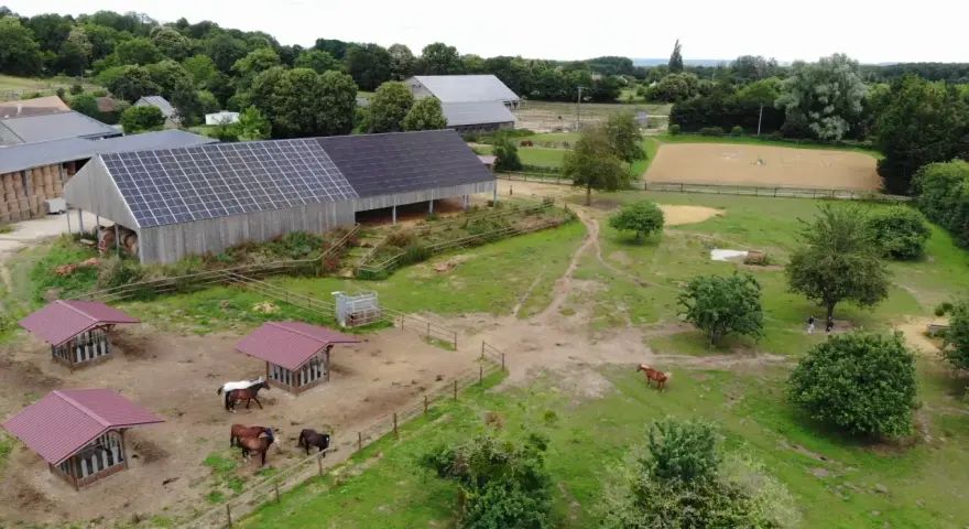 Vue aérienne d'une ferme équestre avec des chevaux au pré, des abris et un manège. Le bâtiment principal est équipé de panneaux solaires, offrant un hébergement chevaux moderne et écologique.