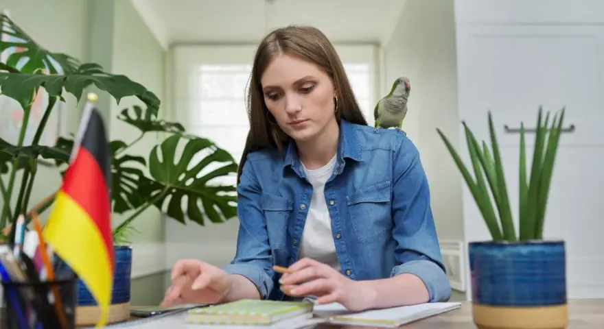 Dziewczyna z papugą na ramieniu uczy się niemieckiego. Może szuka inspiracji na piosenkę na urodziny po niemiecku?