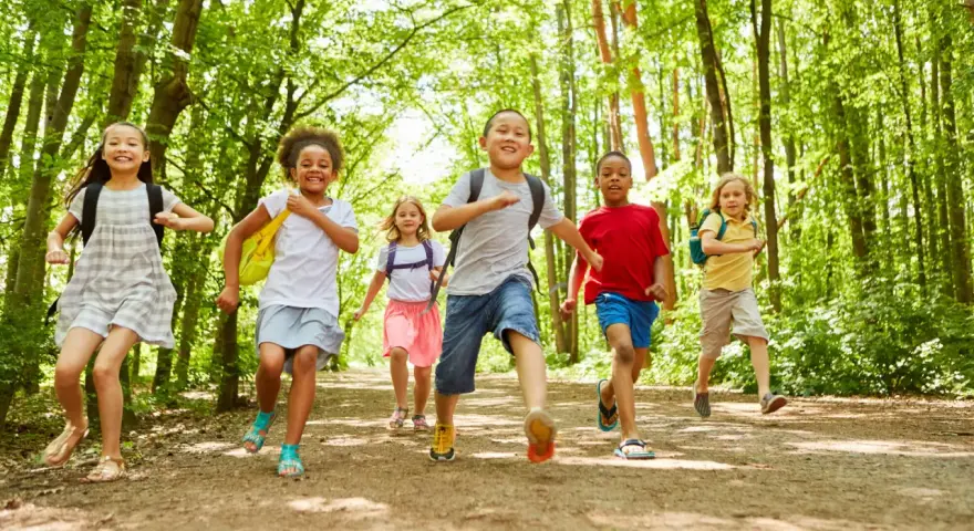Des enfants joyeux, des supernova juniors, courent sur un sentier forestier ensoleillé, pleins d'énergie.