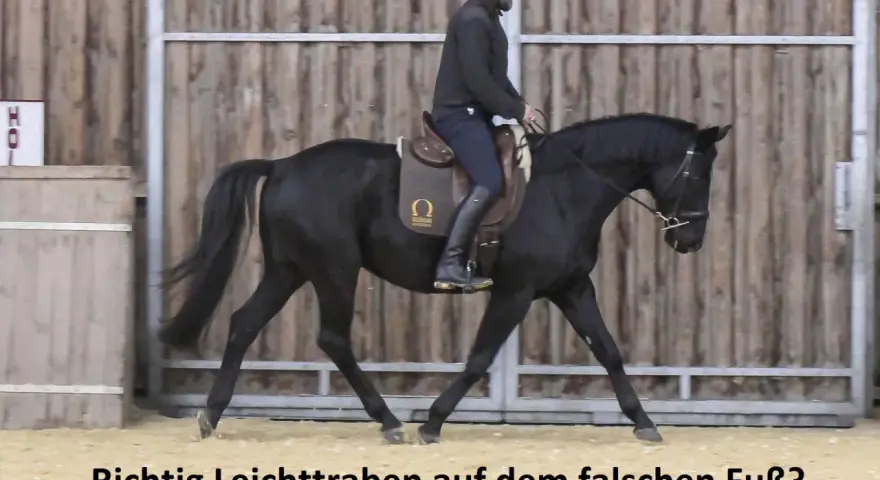 Reiter auf schwarzem Pferd im Trab. Die Frage "Richtig Leichttraben auf dem falschen Fuß?" wird thematisiert.