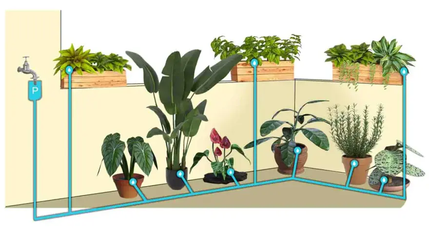 Sistema di irrigazione a goccia fai da te con bottiglia, che collega un rubinetto a diverse piante in vaso e fioriere.