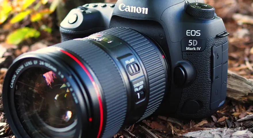 Profesjonalny aparat Canon EOS 5D Mark IV z obiektywem leży na leśnym podłożu.