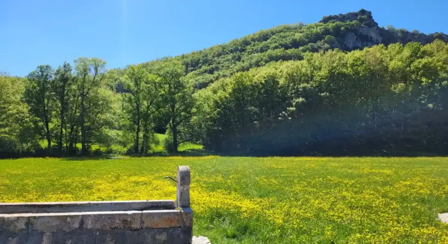 Un antico lavatoio in pietra, una fonte della noce, si affaccia su un prato fiorito di giallo, con alberi rigogliosi e una montagna sullo sfondo.