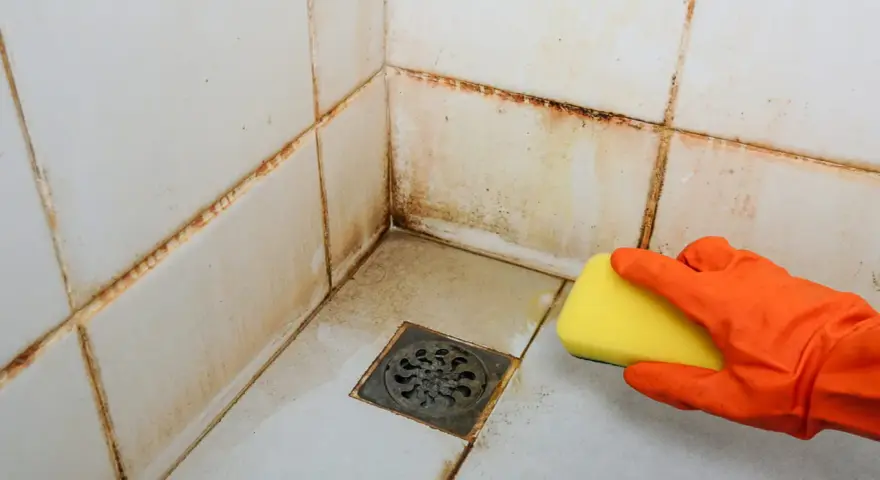 Main d'une personne portant un gant orange, utilisant une éponge jaune pour nettoyer le joint de carrelage sale dans une douche.