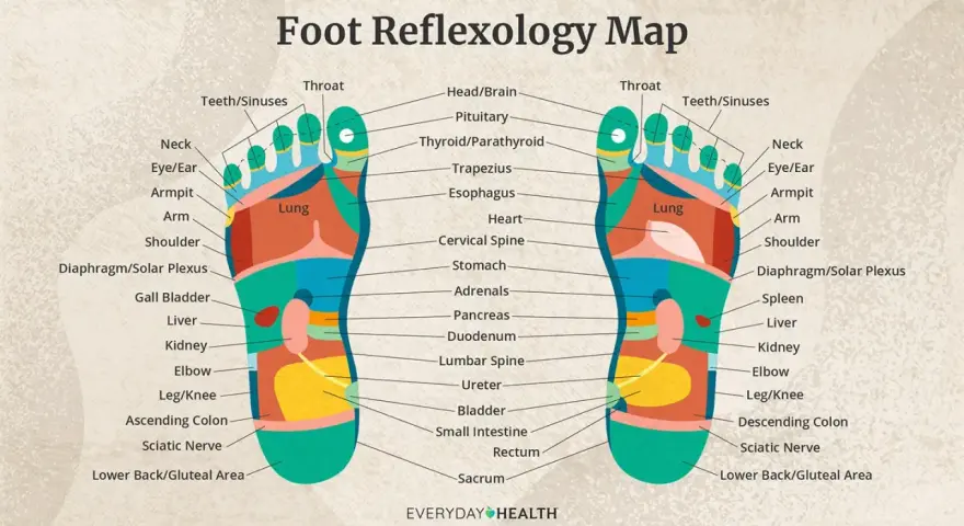 Foot reflexology map showing what a foot massage does for various body parts, from head to lower back.