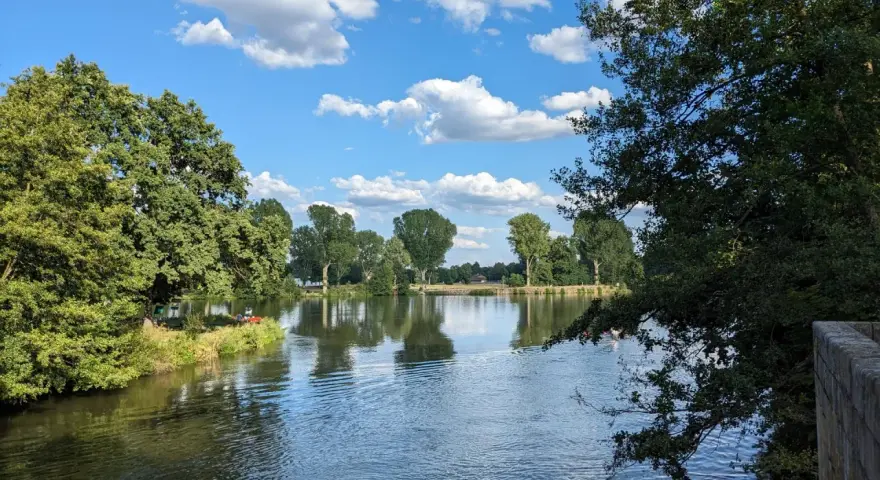 Sommerliche Idylle am badesee bamberg. Grüne Bäume spiegeln sich im ruhigen Wasser, der Himmel ist blau mit weißen Wolken.