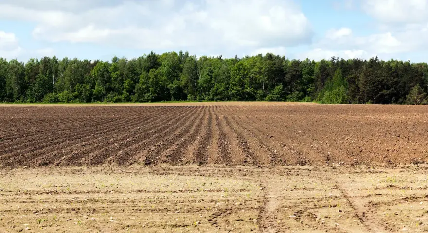 Idealny teren pod zakup działki rolnej do 1 ha. Pole zaorane, gotowe na nowe plony, z lasem w tle.
