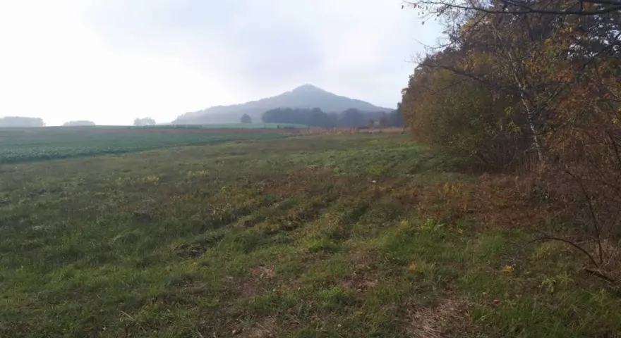 Mglisty poranek nad polami, w oddali majaczy ostrzyca proboszczowicka. Jesienne drzewa szumią przy ścieżce.