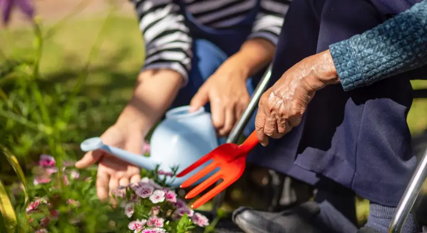 Ręce starszej osoby i młodszej osoby pielęgnują kwiaty. Terapia ogrodem przynosi spokój i radość.