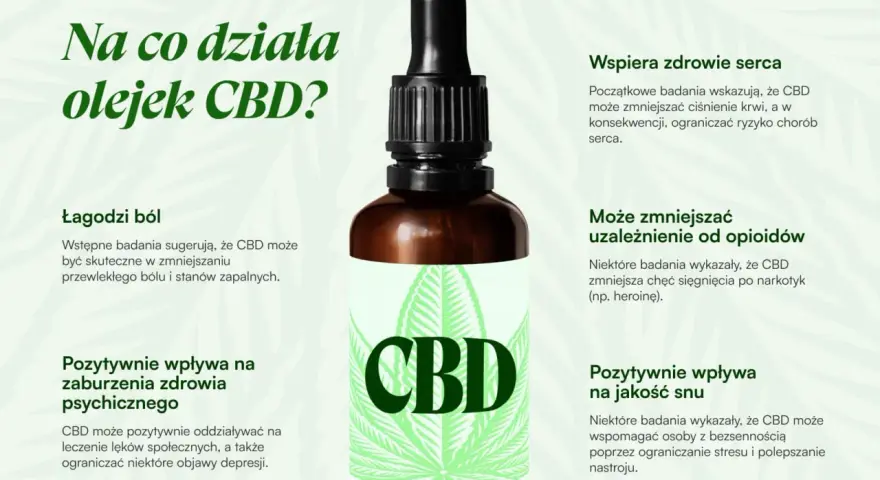 Olej CBD łagodzi ból, wspiera serce, poprawia sen i może zmniejszać uzależnienia. Dowiedz się, na co działa olejek CBD.