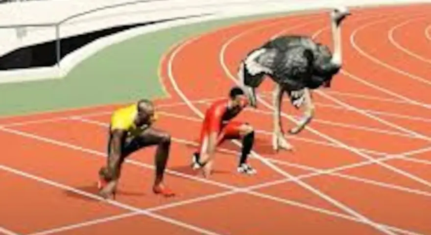 Usain Bolt y una avestruz listos para competir, ¿quién alcanzará la velocidad punta?