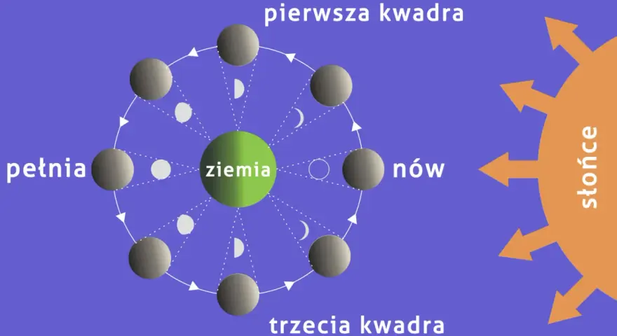 Cykl faz księżyca wokół Ziemi: nów, pierwsza kwadra, pełnia, trzecia kwadra. Słońce oświetla Księżyc, tworząc widoczne fazy.