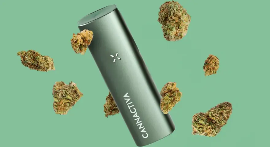 Vaper verde con el logo "CANNACTIVA" rodeado de cogollos de cannabis.
