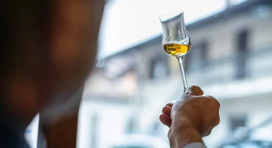 Dłoń trzyma kieliszek ze złotym płynem. To grappa, włoski destylat z wytłoków winogron.