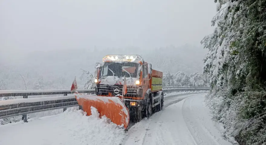 Appennino Reggiano Oggi: Meteo, Eventi, Viabilità e Notizie