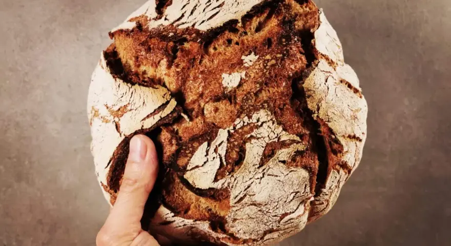 Hand hält ein rustikales Brot aus Emmer Urkorn mit knuspriger Kruste und dunkler Krume.