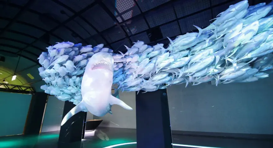 Rekin wśród ławicy ryb, instalacja w Muzeum Wody Wrocław.