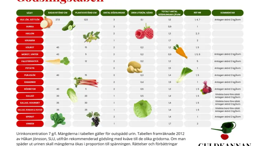 Tabell visar gödsling av grönsaker med urin. Gurka behöver 3 gödslingar, 0,1 liter per gång. Guldvatten till gurka ger bra skörd.