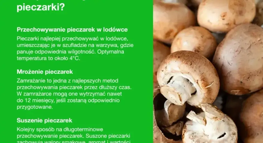Jak przechowywać pieczarki: w lodówce, mrożone lub suszone. Porady dotyczące długoterminowego przechowywania pieczarek.