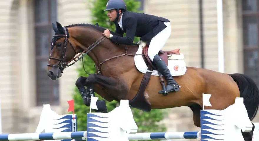 Un cavalier et son étalon bondissent par-dessus un obstacle. L'étalon, fier et puissant, montre sa forme athlétique.