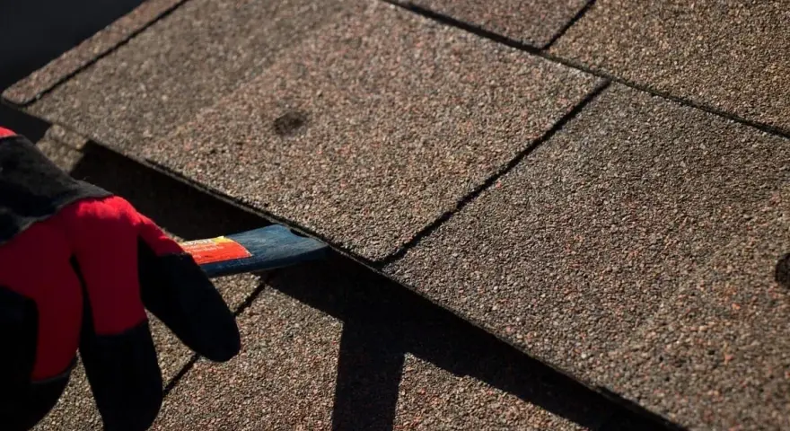A gloved hand uses a tool to lift an asphalt shingle, indicating asphalt shingle roof repair is underway.
