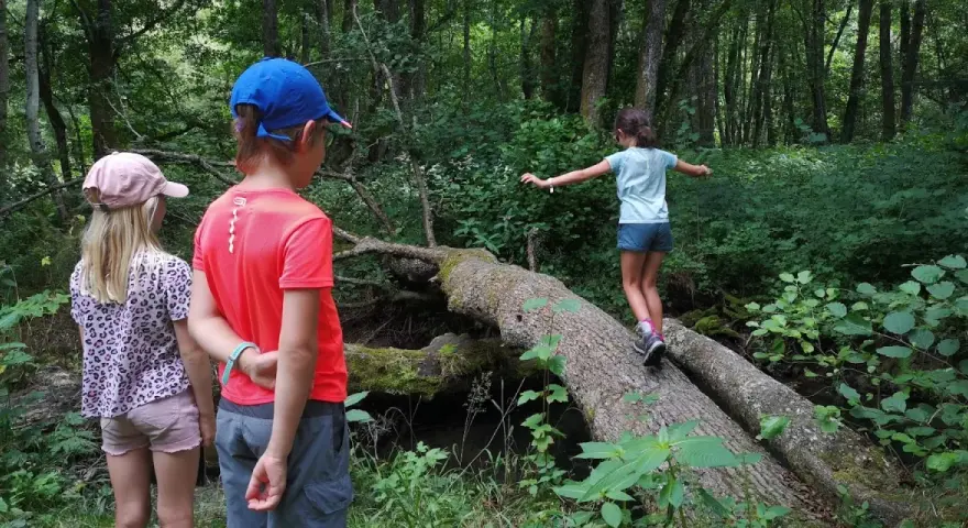 Une joyeuse randonnée avec enfants dans une forêt luxuriante. Une jeune fille traverse un tronc d'arbre tombé, tandis que deux autres enfants l'observent.