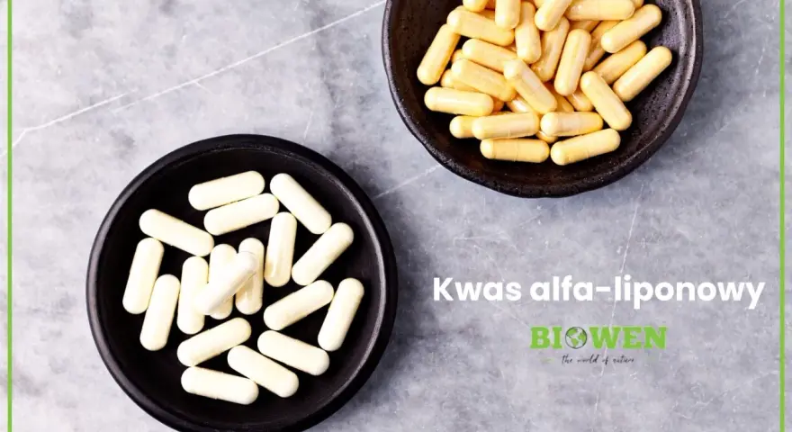 Dwie miseczki z kapsułkami. Kwas alfa-liponowy wspiera regenerację nerwów.