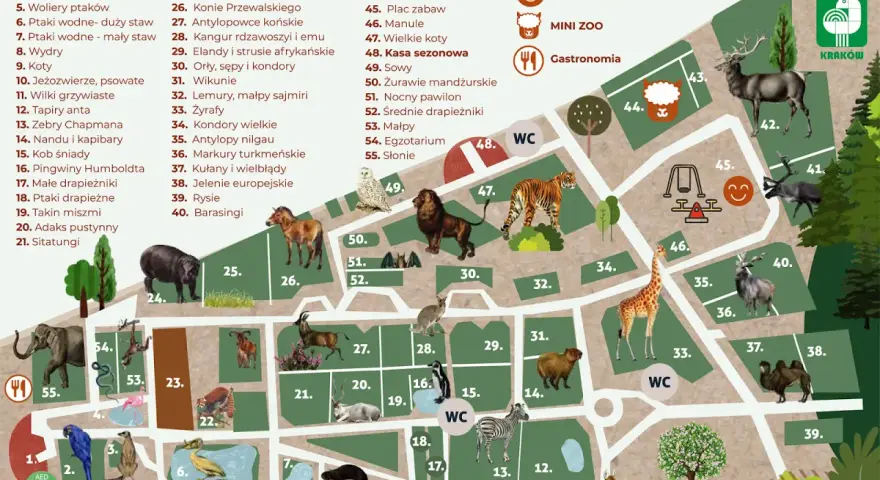 Kraków z dziećmi: Atrakcje na każdą pogodę i kieszeń!