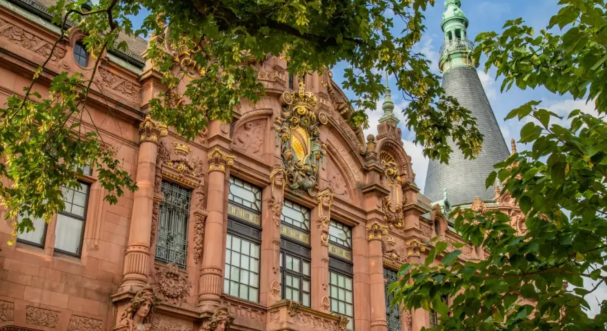 Heidelberg uniwersytet: Historia, programy i życie studenckie