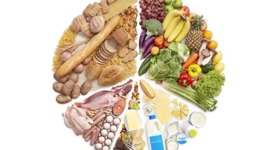 Un assortiment de fruits, légumes, céréales, viandes, poissons, œufs, produits laitiers et sucreries. Pour savoir comment grossir, il faut équilibrer ces groupes alimentaires.