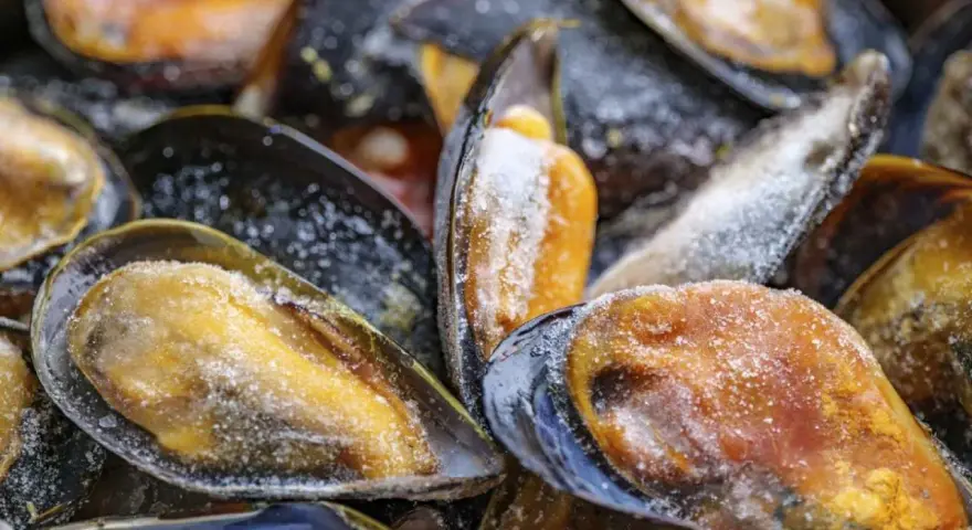 Primer plano de mejillones congelados cubiertos de escarcha. Se pueden congelar los mejillones para conservarlos frescos.