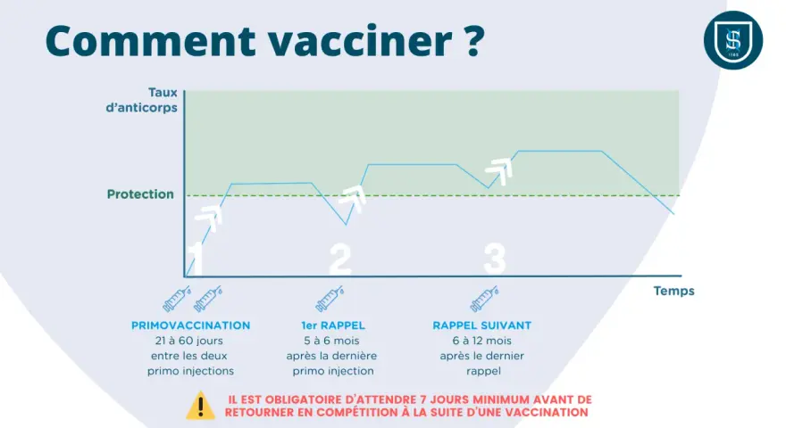 Graphique illustrant le protocole vaccination cheval FFE : taux d'anticorps et protection après primo-vaccination et rappels.