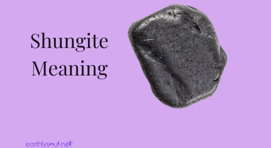 Pietra di shungite nera, nota per le sue proprietà protettive e purificanti.