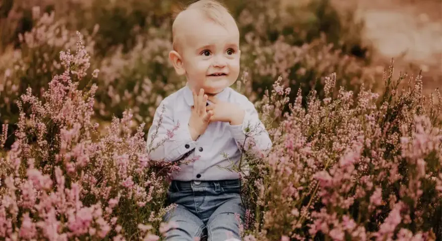 Uroczy chłopiec w jeansach i koszuli siedzi pośród kwitnącej wrzosowej polany. To jego **1 urodziny**!