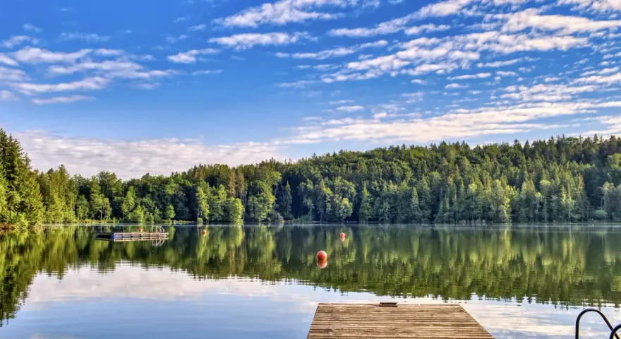 Holzsteg am ruhigen Badesee Dresden, umgeben von üppigem Grün und blauem Himmel mit Wolken.
