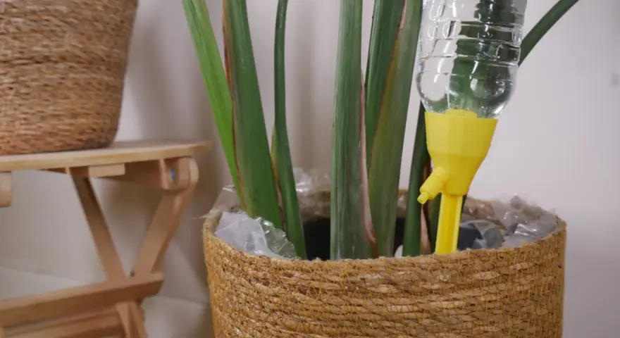 Dispositivo amarillo para regar plantas en vacaciones. Una botella de agua se inserta en la tierra para mantenerla hidratada.